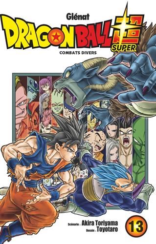 Dragon ball super 13